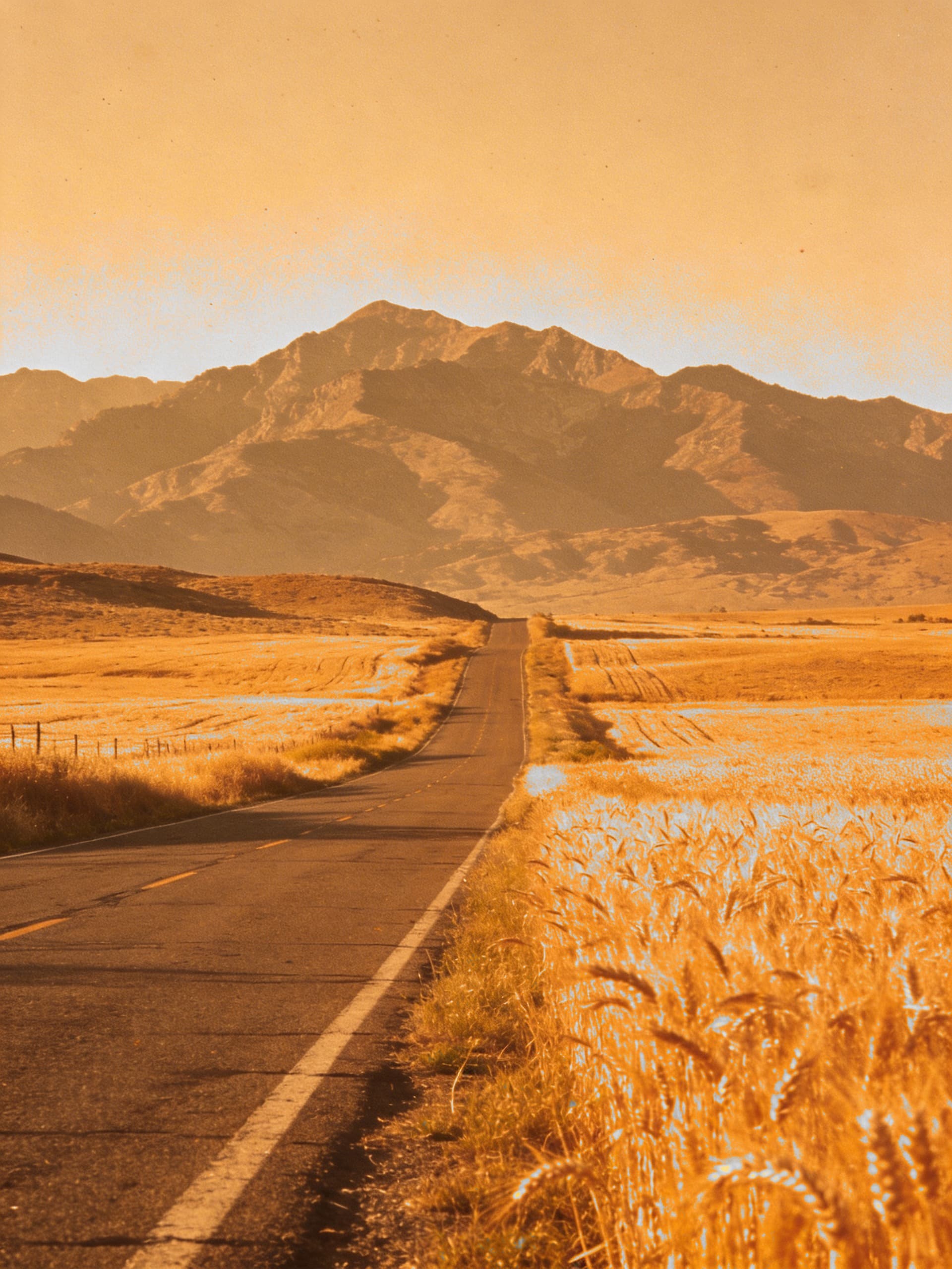 Golden countryside road on film