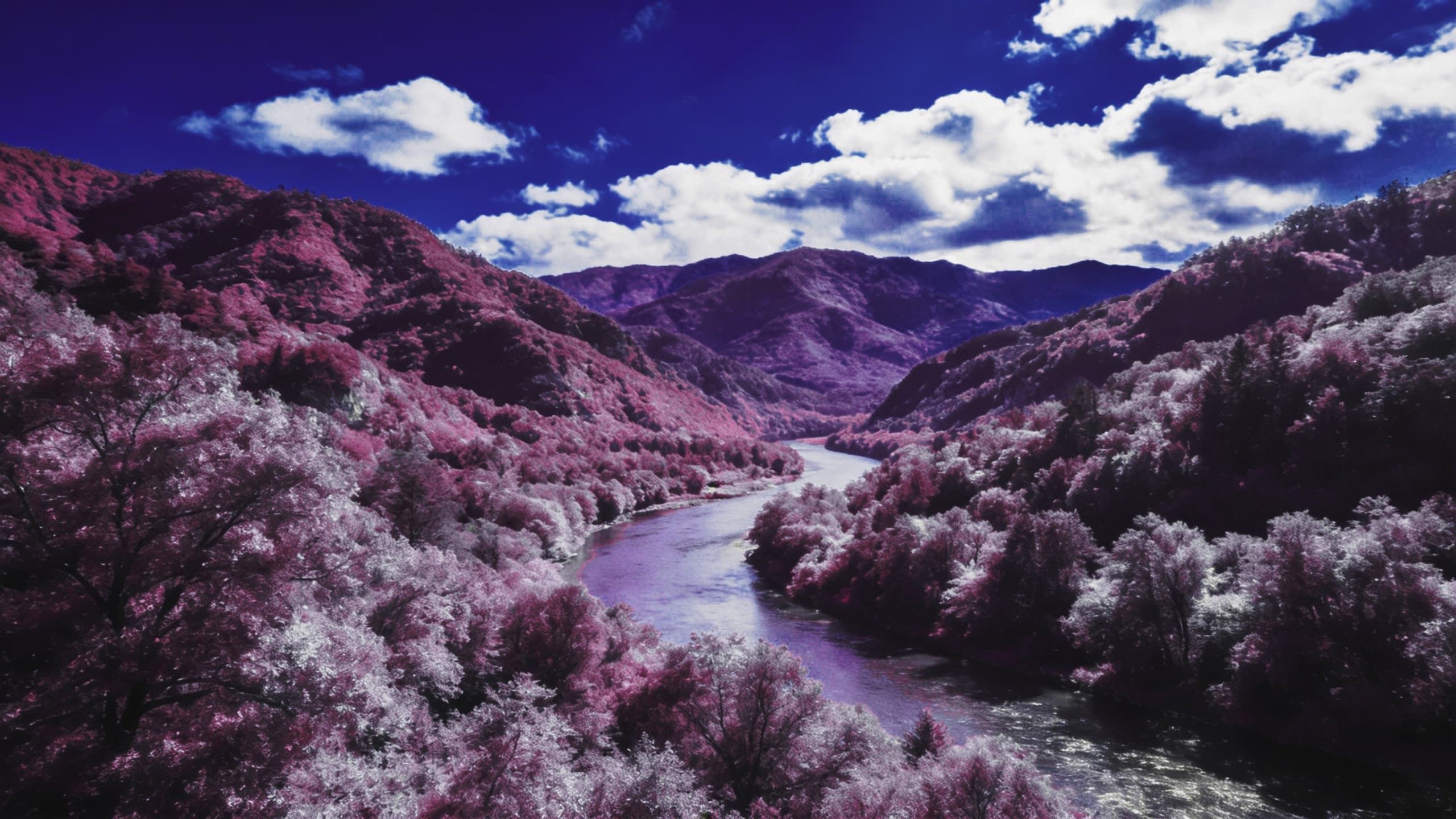 Aerochrome false-color landscape